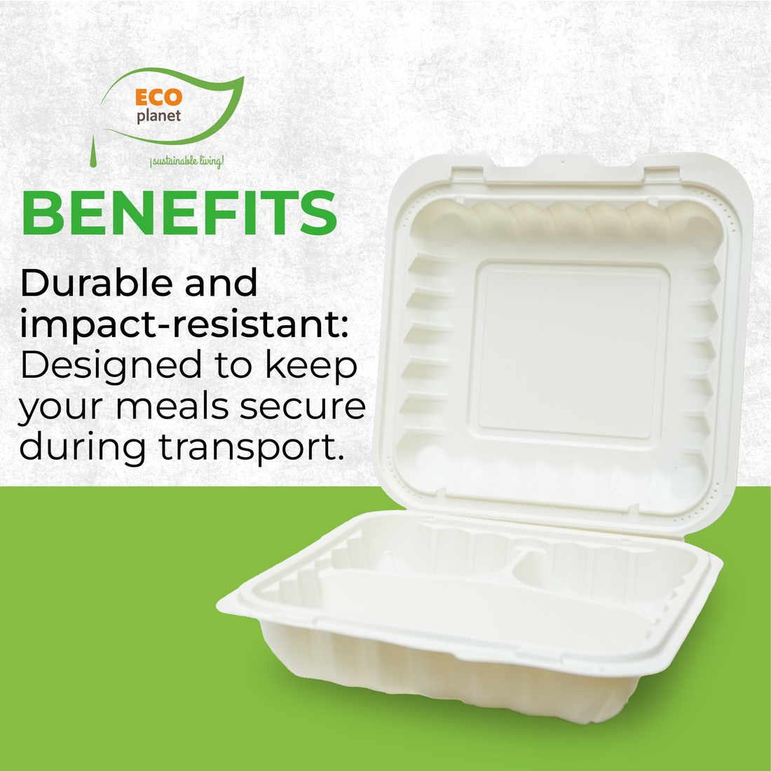 Compostable P3 Food Containers with Lids | Durable, Biodegradable, and Eco-Friendly