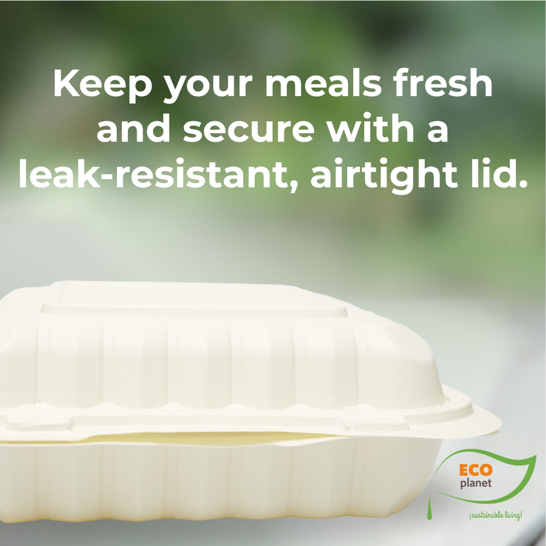 Compostable P3 Food Containers with Lids | Durable, Biodegradable, and Eco-Friendly