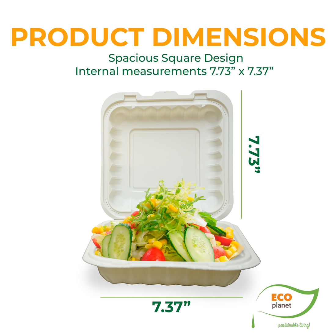 Compostable P1 Food Containers with Lids | Durable, Biodegradable, and Eco-Friendly