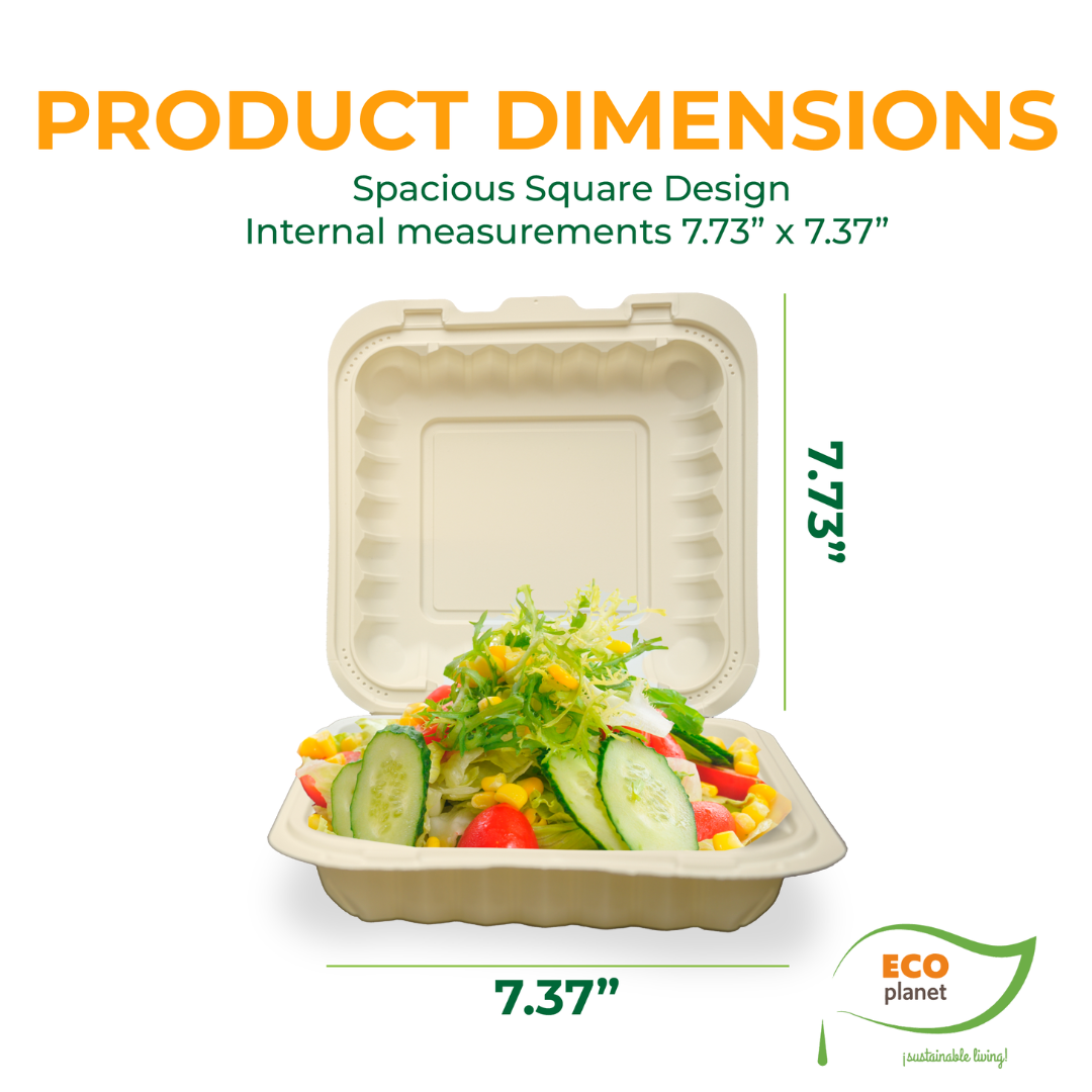 Compostable P1 Food Containers with Lids | Durable, Biodegradable, and Eco-Friendly