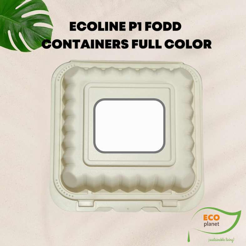 Compostable P1 Food Containers with Lids | Durable, Biodegradable, and Eco-Friendly