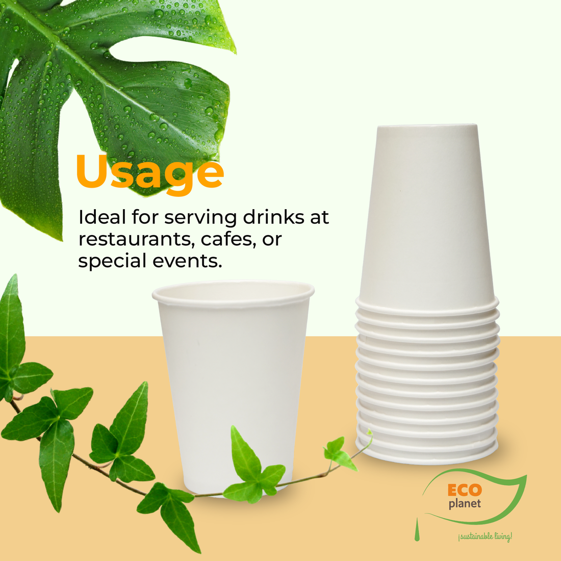 Compostable Disposable Cups with Lids | Biodegradable and Eco-Friendly Beverage Solution | Durable Cups for Hot and Cold Drinks (12 oz)