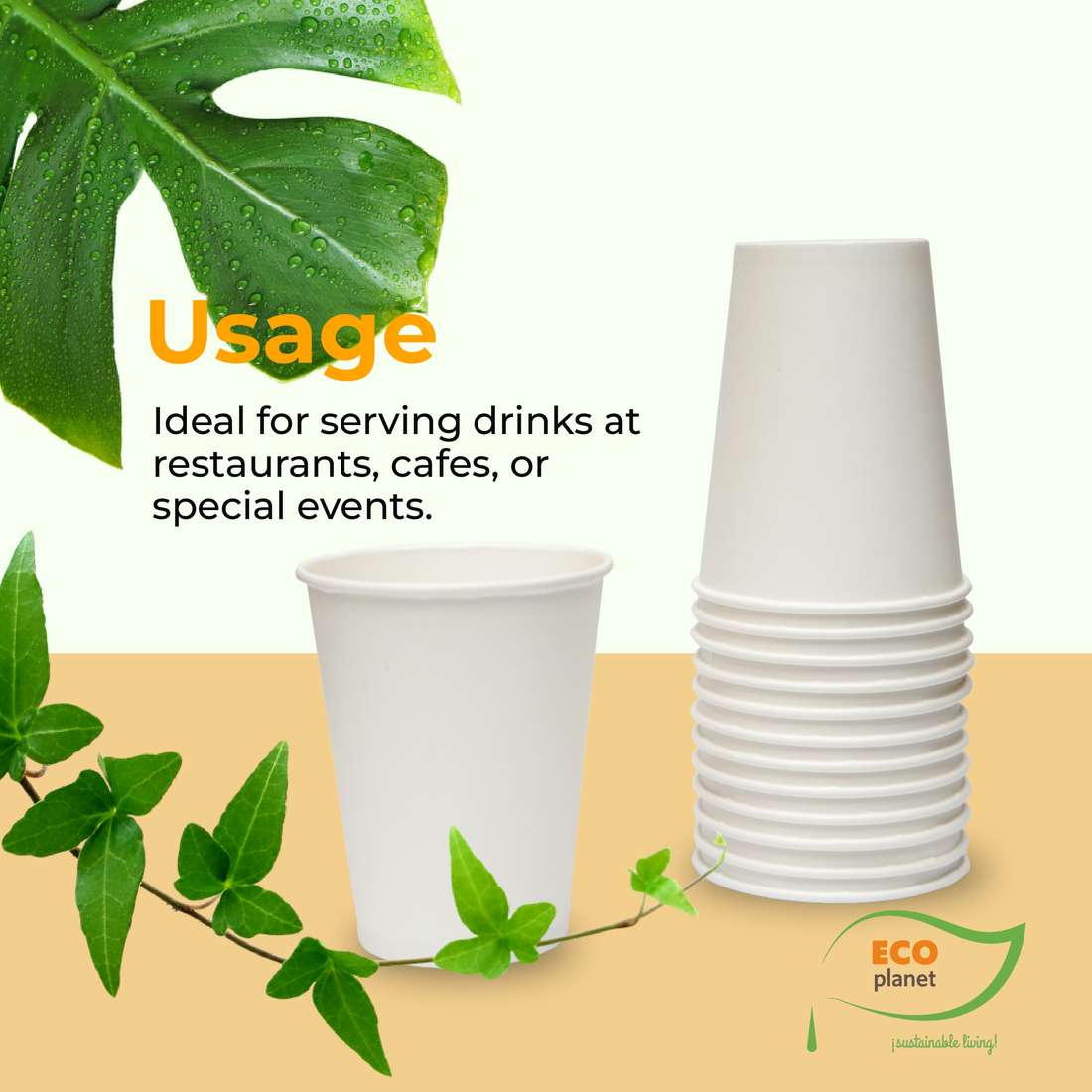 Compostable Disposable Cups with Lids | Biodegradable and Eco-Friendly Beverage Solution | Durable Cups for Hot and Cold Drinks (16 oz)